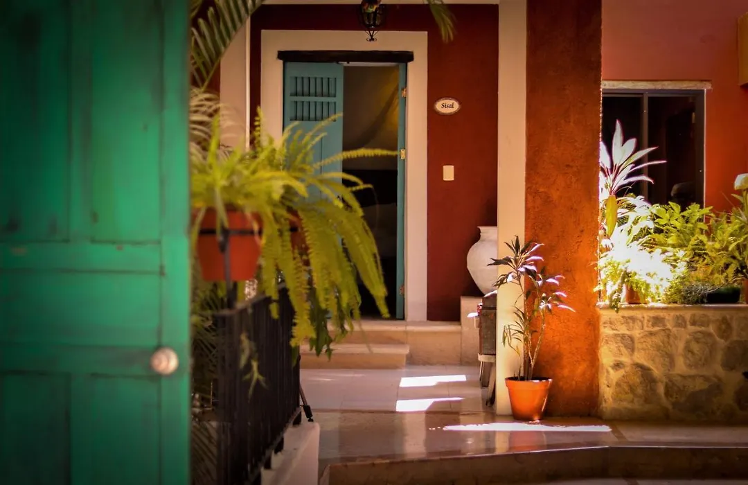 Casa Tia Micha-1